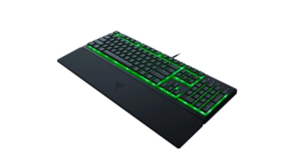 Razer Ornata USB Keyboard